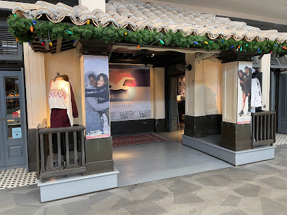 Hollister Co.
