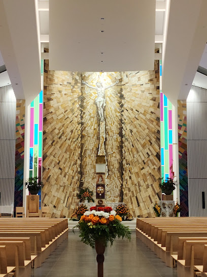Protocatedral de San Patricio