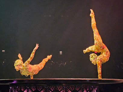 Cirque du Soleil - KOOZA