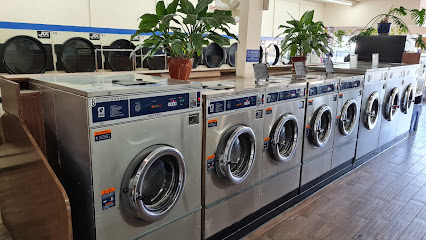 Kiely Wash & Dry